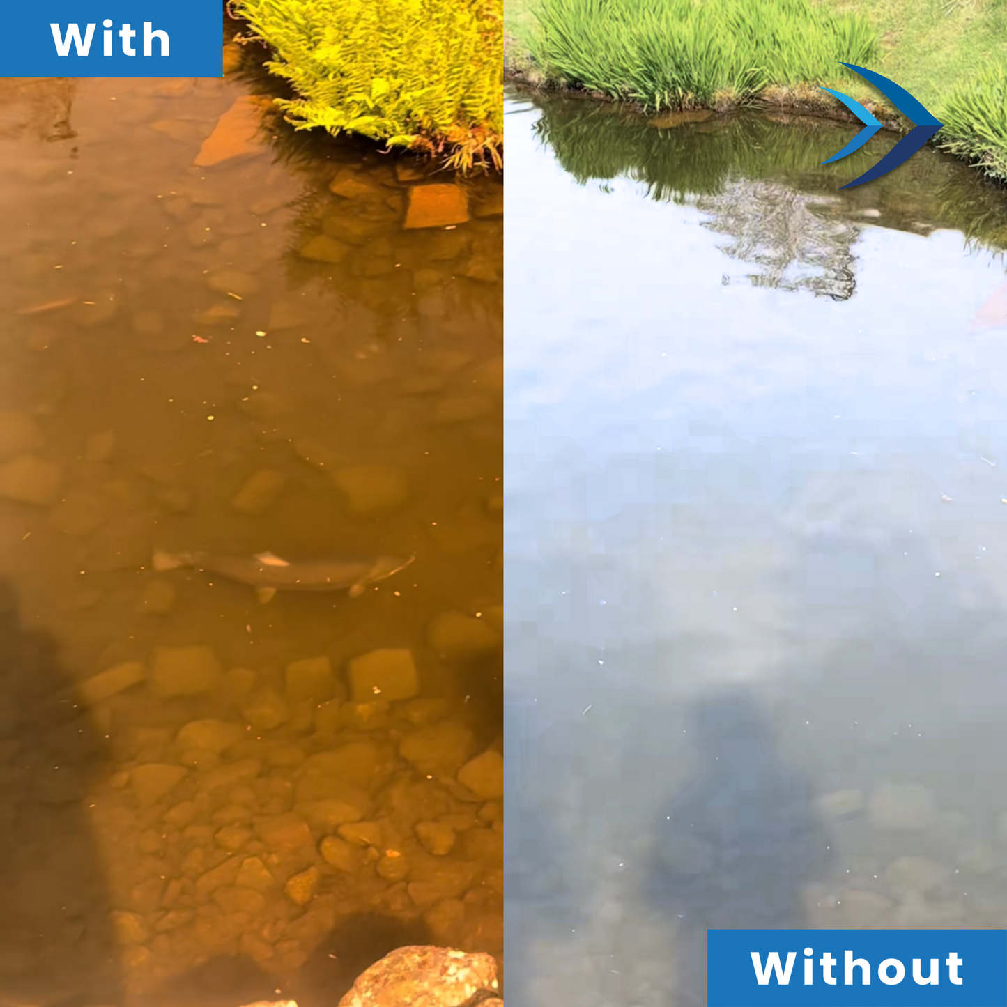 Fish Spotting Sunglasses