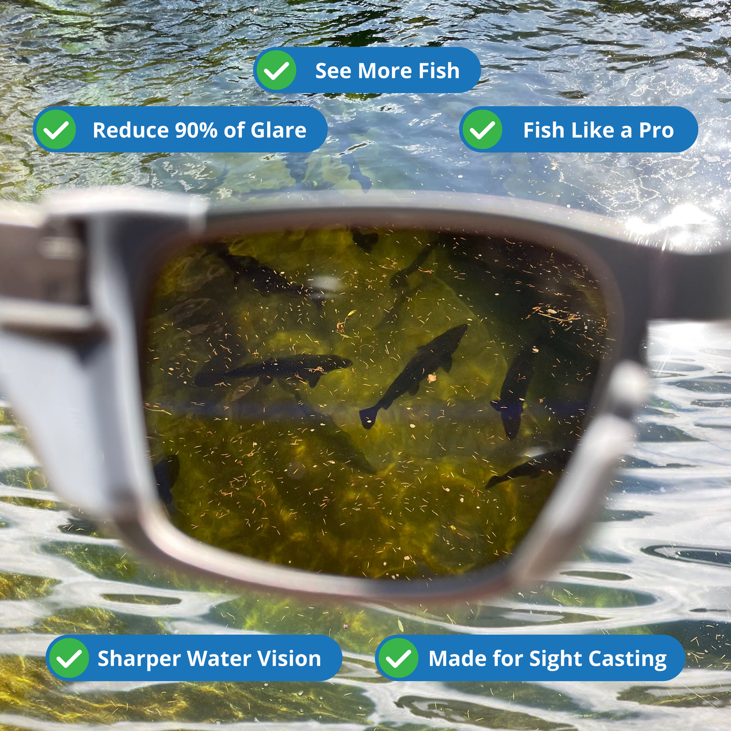 Fish Spotting Sunglasses